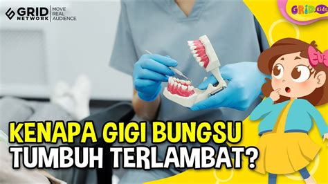 Penyebab Gigi Bungsu Tumbuh Paling Akhir Fakta Menarik YouTube