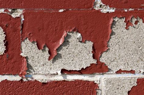 Id Es Pour Habiller Un Mur En Parpaing Ext Rieur Avec Du Bois