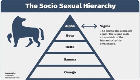 What Makes A Sigma Male The Internet Slang Term Trend And Memes