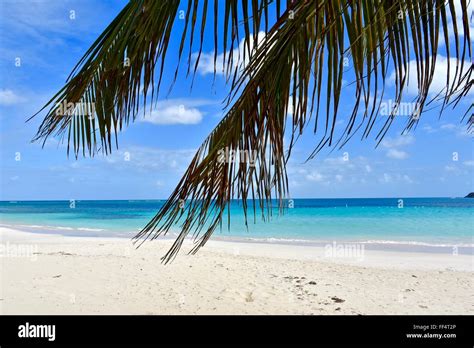 Flamenco beach Puerto Rico Stock Photo - Alamy