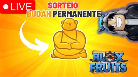 BLOX FRUITS SORTEIO BUDAH PERMANENTE YouTube