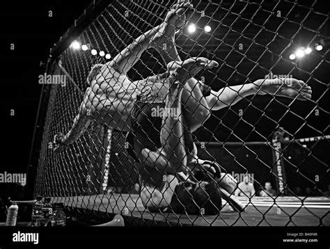 Mma Submission Black And White Stock Photos And Images Alamy