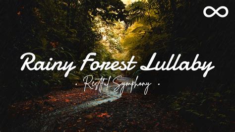 Rainy Forest Lullaby 10 Hours Of Relaxing Calming Light Rain Sounds