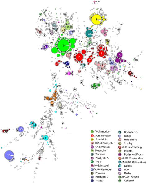 Minimal Spanning Tree MSTree Of MLST Data On 4257 Isolates Of S