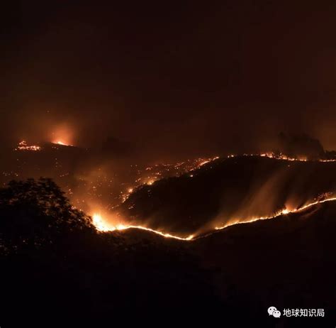 澳洲大火烧了4个月后，新西兰也着火了凤凰网