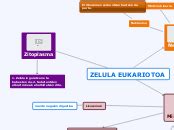 Zelula Eukariotoa Mind Map