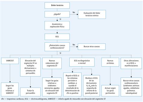 Gu As Aha Acc Diagn Stico Del Dolor Tor Cico Gu As Y Noticias