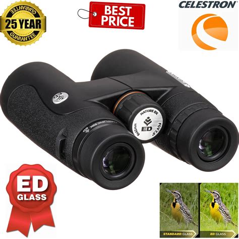 Best Celestron Binoculars For Astronomy | visitchile.cl