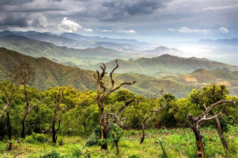 Chebera Churchura National Park - Nationwide Tour & Travel