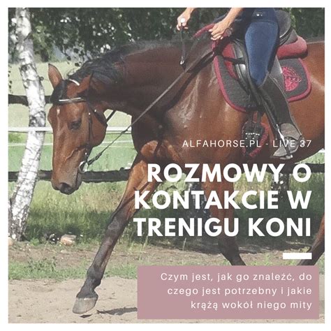 Live 37 Praca na kontakcie w treningu koni Szkoła Alfa Horse