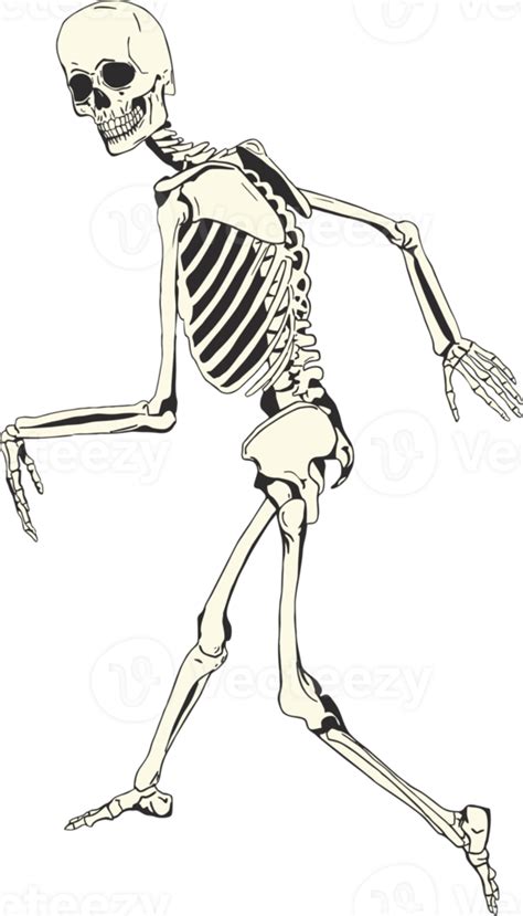 Skeleton Posing As A Sasquatch 22787223 Png