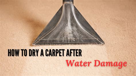 Water Damaged Carpet Know The Drying Process Effectively