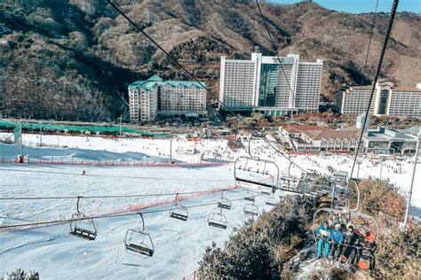 How to Visit Vivaldi Ski Park in Korea [2025]