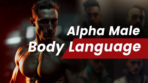 Alpha Male Body Language Subconscious Body Language Female