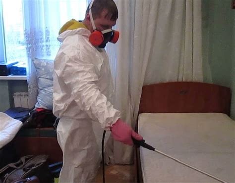 Уничтожение клопов в Москве от 2600 руб, дезинсекция клопов в квартире