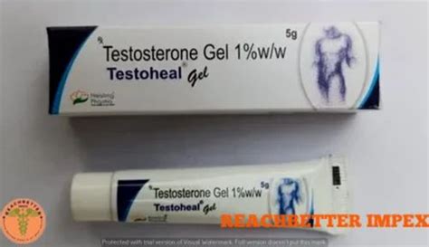 TESTOHEAL TESTOSTERONE GEL Packaging Type Box Packaging Size 5GM At