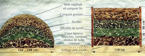 Culture sur buttes en permaculture quel système choisir Willemse