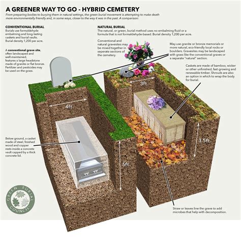 green burials southcare cremation funeral society