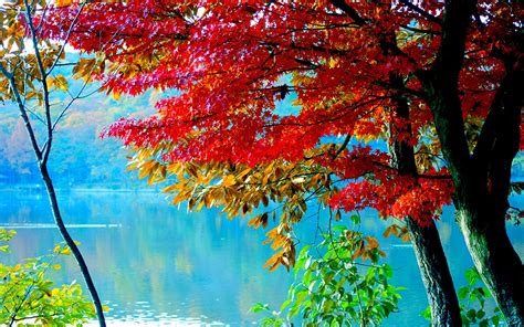 Fonds D Ecran Saison Automne Rivières Feuillage Arbres Nature Télécharger Photo