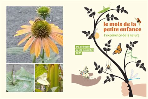 Senteurs Et D Couvertes Des Jardins Partag S Du Pr