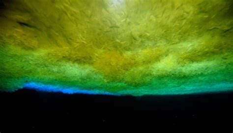 Cryospheric Sciences Image Of The Week Under The Sea