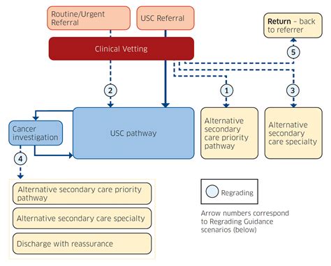 Urgent Suspicion Of Cancer National Regrading Guidance Gov Scot