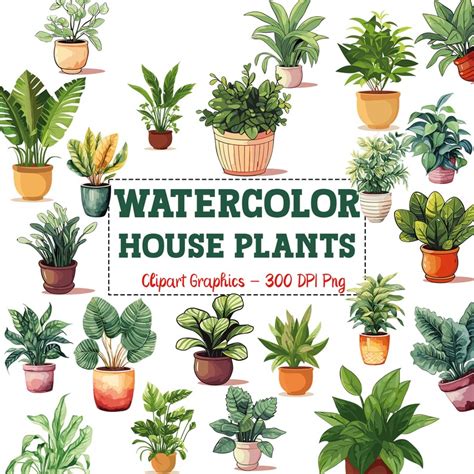 20 House Plants Watercolor Clipart Digital Download Etsy