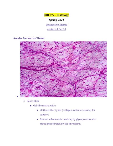 Bio 372 Lecture 4 Part 5 Spring 2021 Bio 372 Histology Spring