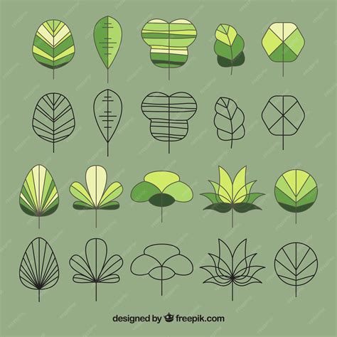 Сбор листьев эскизов | Бесплатно векторы