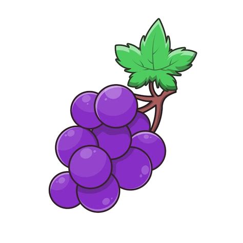 Premium Vector | Grape fruit illustration Fresh fruit isolated on white ...