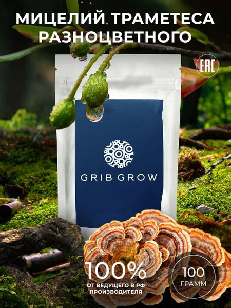 Траметес разноцветный мицелий Grib Grow - 100 грамм - купить с ...