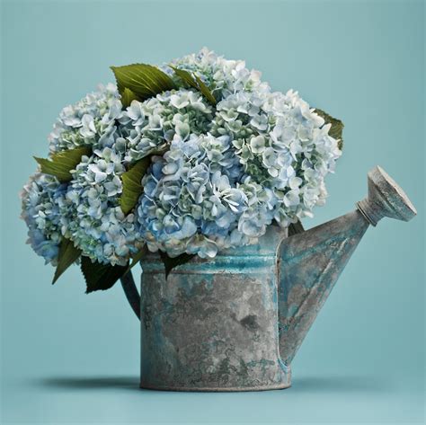 Our Favorite Hydrangea Arrangements | Flower Magazine