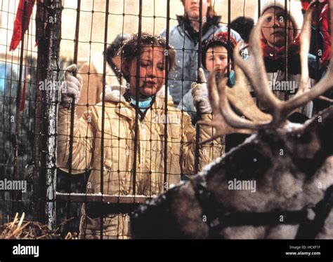 PRANCER Rebecca Harrell 1989 Stock Photo Alamy