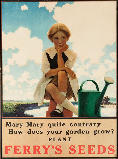 Ferry’s Seeds Vintage Advertising Poster — MUSEUM OUTLETS