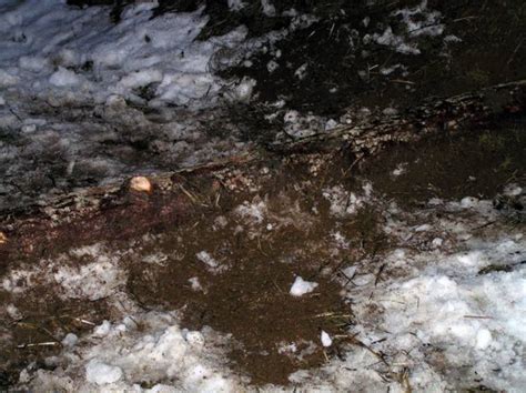 Nude Hiking And Soaking In The Pacific Northwest A TravelBlog Of