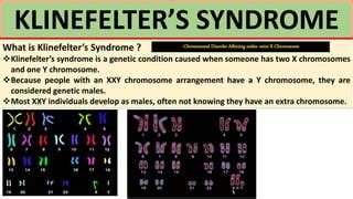 Klinefelter Syndrome Chromosome