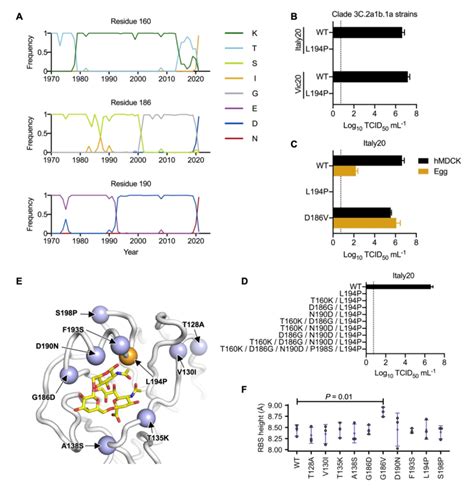 Incompatibility Between N190 And P194 A Frequencies Of Amino Acid Download Scientific