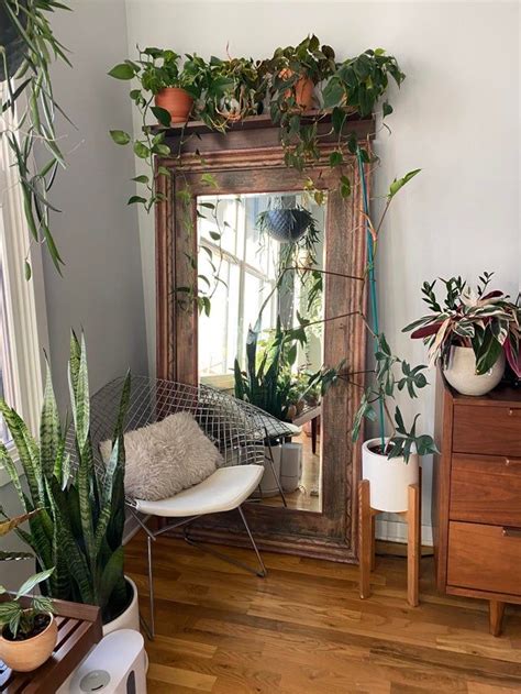 House Plants Decor Room With Plants Plant Rooms Plant Decor Boho