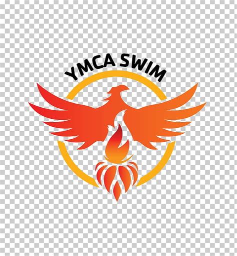 YMCA Of Southern Nevada Swimming Pool Durango Hills Avenue PNG, Clipart, Area, Artwork, Beak ...