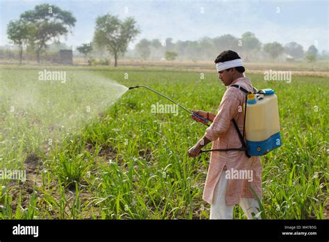 Spraying Pesticides