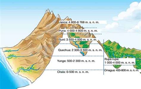 Regiones Naturales Del Per Regiones Naturales Del Per