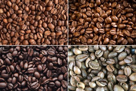 Exploring the Four Types of Coffee Beans - Coffee Bean Types – Barista ...