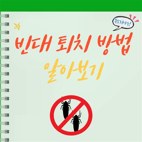 빈대 퇴치 방법 알아보기살충제 내성 빈대 퇴치