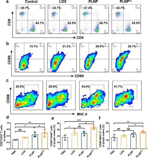 Immune Activation By PLNPCu In Vivo A The Flow Cytometric Images Of