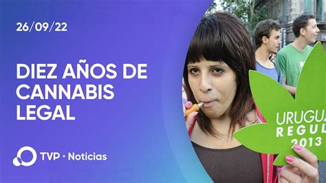 La Historia Detrás De La Legalización Del Cannabis En Uruguay ¿cuándo Y Cómo Se Logró Legalizar