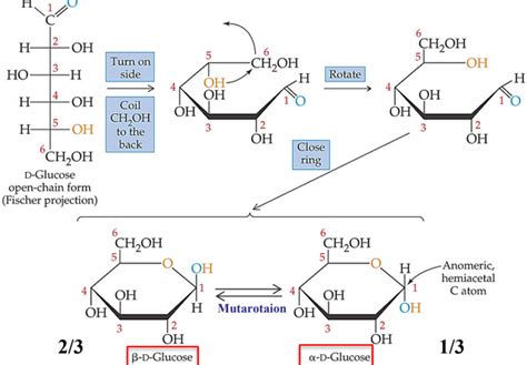 91 Basics Of Carbohydrates And Their Stereochemistry Bs1005 Cm1051