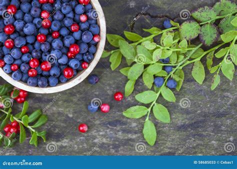 Bowl Of Blueberries And Cranberries Stock Image Image Of Berry