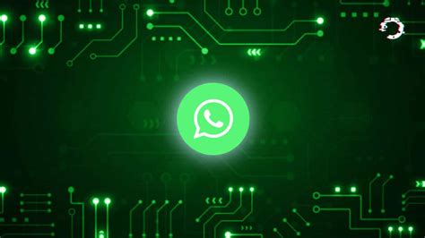 WhatsApp tutte le novità sulle nuove funzioni