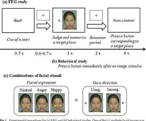 Figure 1 From Effects Of Facial Expression And Gaze Interaction On