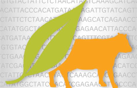 Genotyping